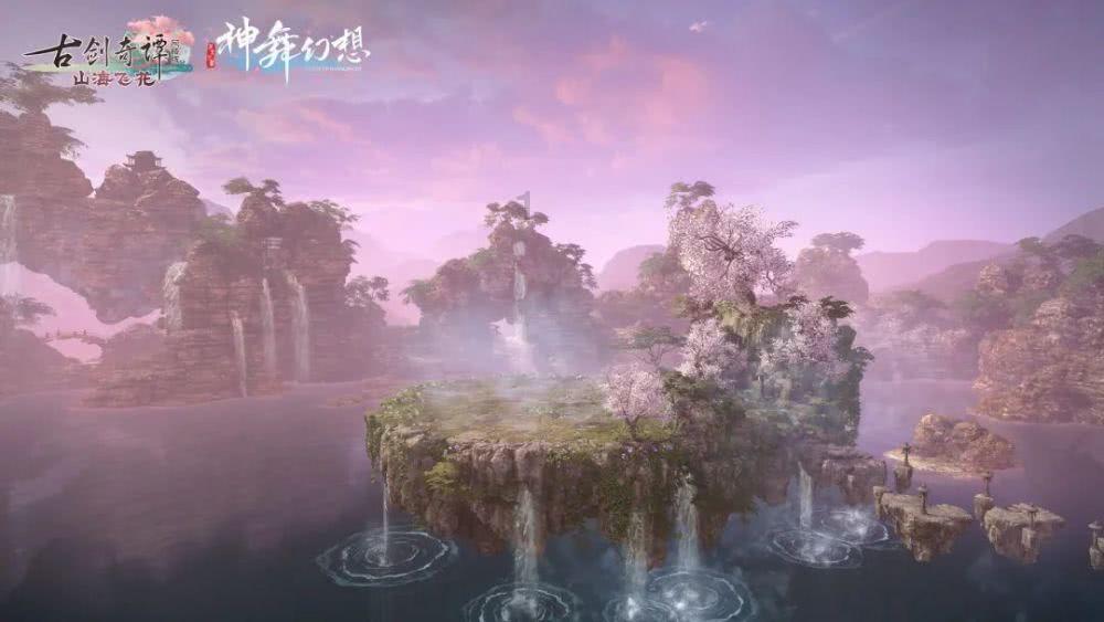 可怜猫的救援