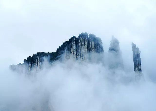 属马的今天财运